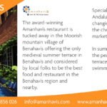Amanahavis Print Advert