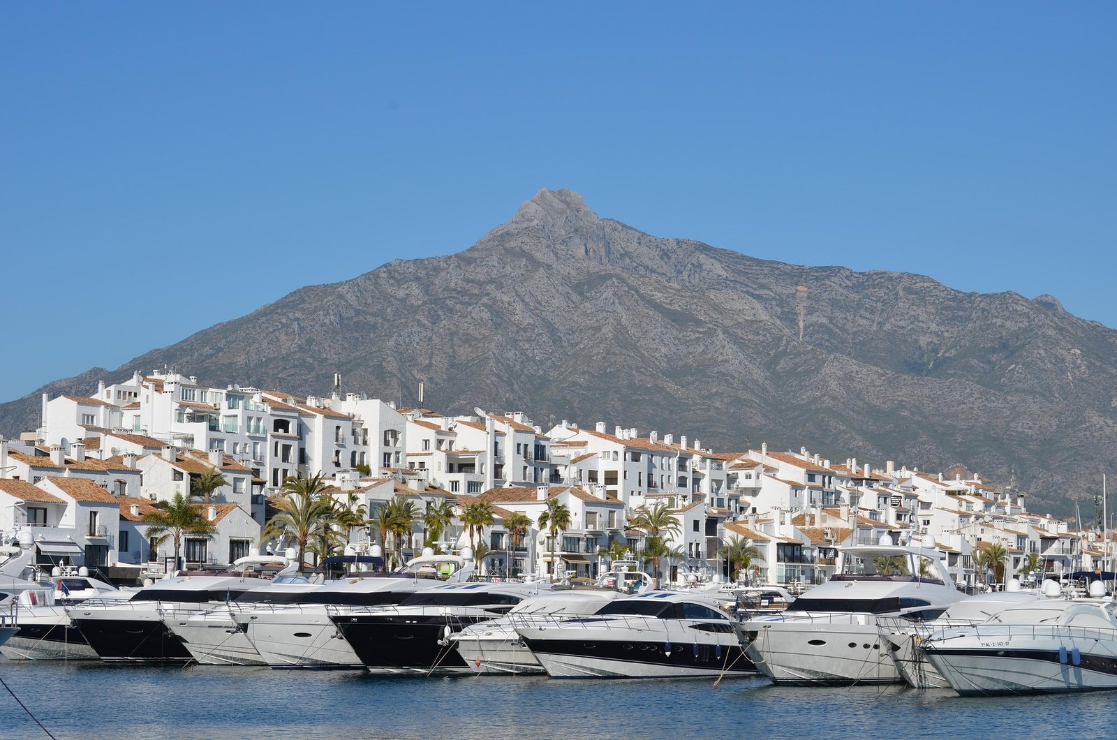 Marbella Marina